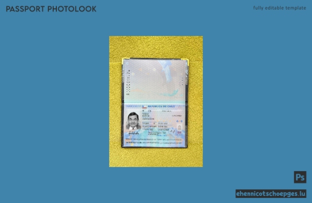 Chilenischer Reisepass 2025-heute: Beispielansicht des Passfotos